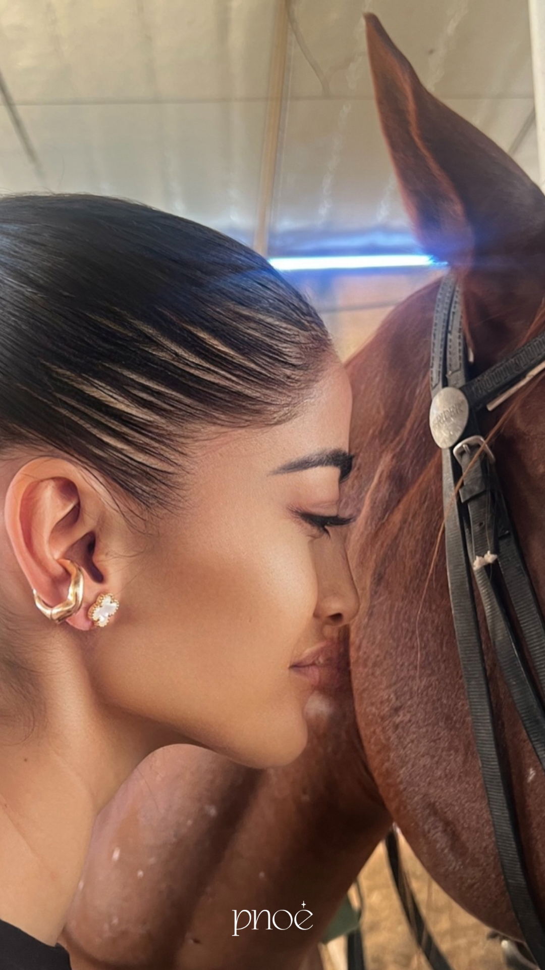 Beige Modern Simple Elegant Brand Sale Instagram Story